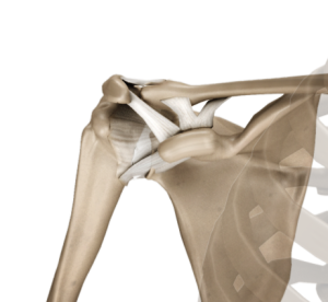 Acromioclavicular (AC) Joint